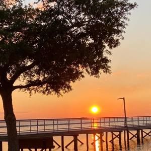 Meet your Posher, Bridget